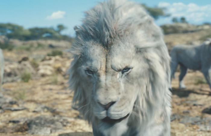 Explained ending of Disney's 'The Lion King' prequel