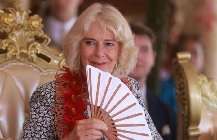 Camilla does her Christmas shopping incognito in a luxury store: what did she buy?