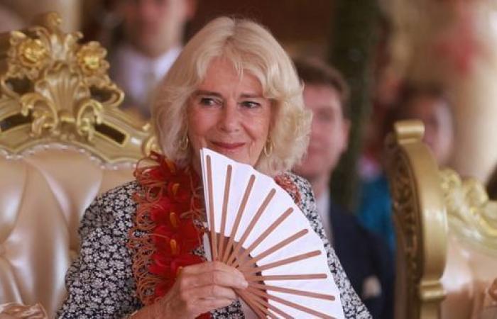 Camilla does her Christmas shopping incognito in a luxury store: what did she buy?