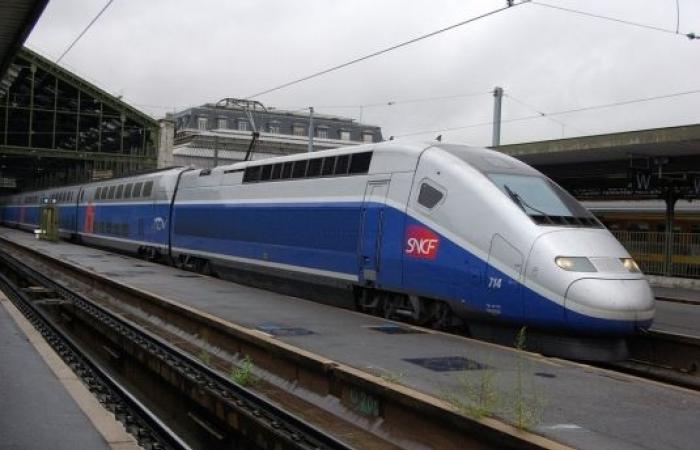 Project for phases 1 & 2 of the Nouvelle Provence Côte d’Azur Line