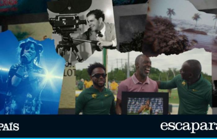 What documentaries to watch on Movistar Plus+? These are their December releases | Lifestyle | Showcase