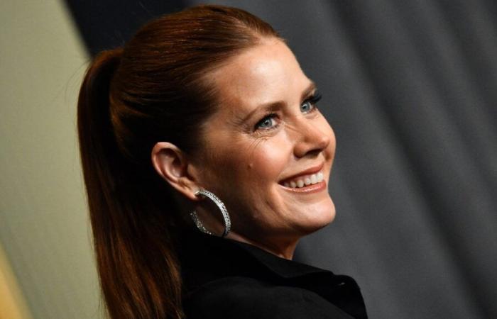 Jenna Fisher Reveals Why Amy Adams Almost Wasn’t Cast on ‘The Office’