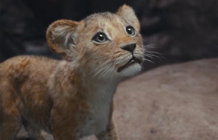 Explained ending of Disney's 'The Lion King' prequel