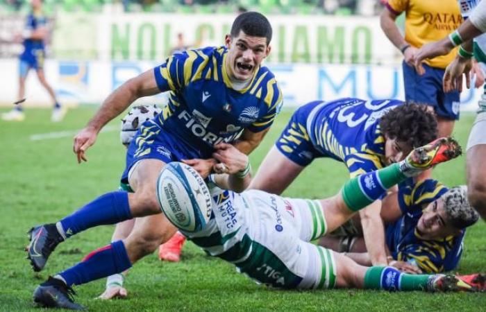 Italian rugby federation seeks sale of Parma Zebre franchise