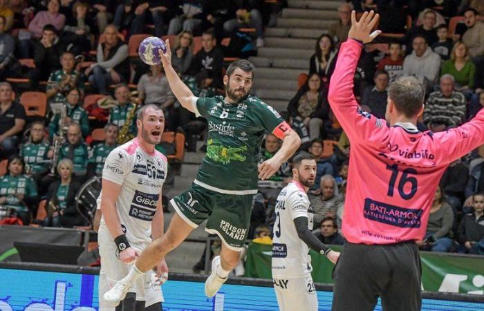 Handball: “Limoges is a decisive match,” assures Usam Nîmes coach David Degouy