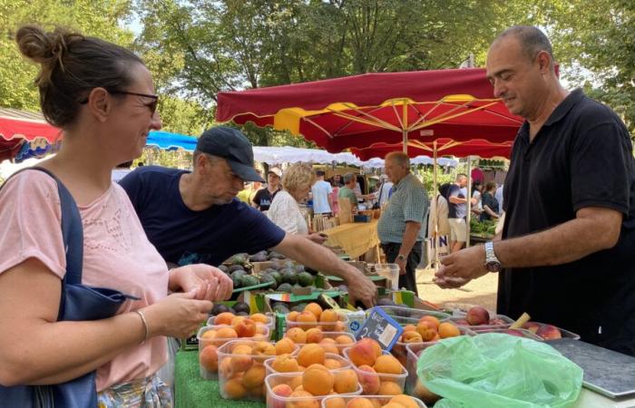 Salon-de-Provence: the Wednesday market will change on February 1