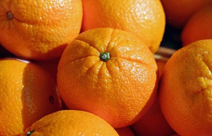 Morocco aims for a new record for orange juice exports