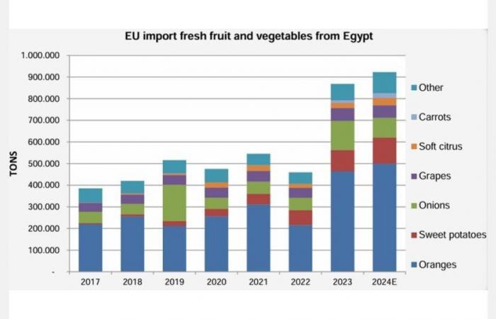 Egyptian exports of fresh fruits and vegetables are on the rise again