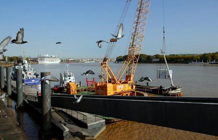 how the port and the Metropolis are relaunching the transport of goods by boat on the Garonne