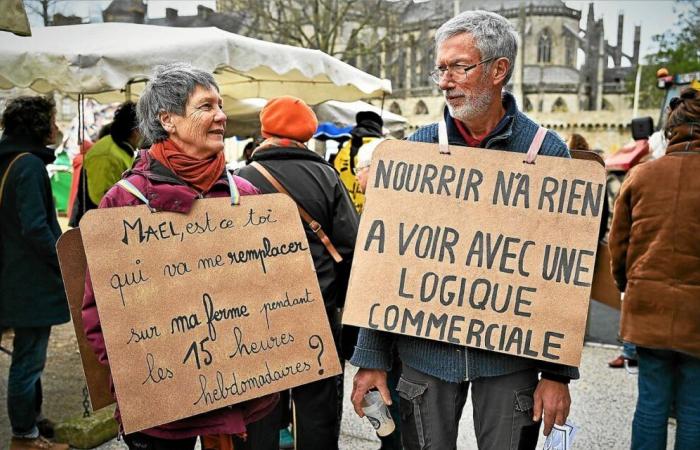 “This is not the time to burst the emergency buoy”: in Quimper, the Peasant Confederation stands up against the conditioning of the RSA