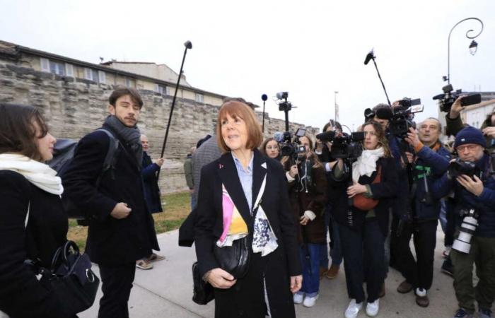 at the exit of the Avignon court, the lawyer of one of the accused provokes the crowd who came to support Gisèle Pélicot