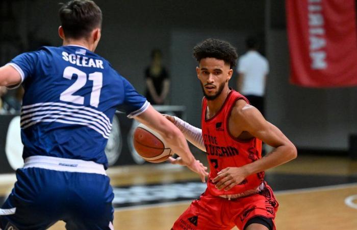 Men's N1: Toulouse muzzles Lorient in defense