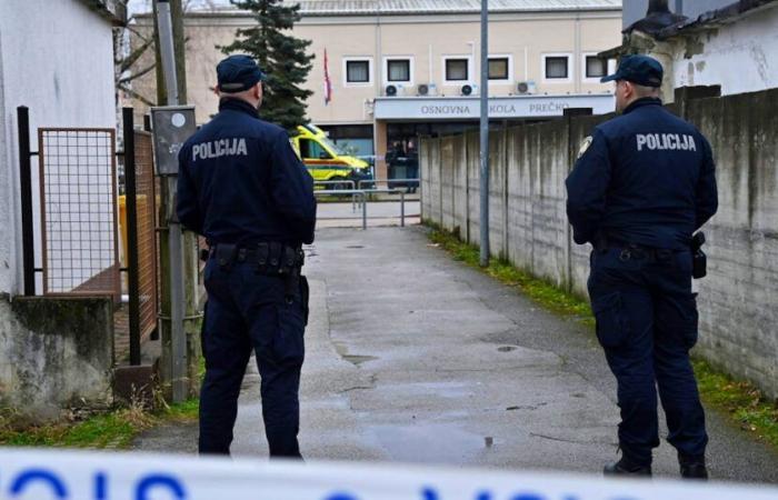 Child dies in knife attack at Croatian school