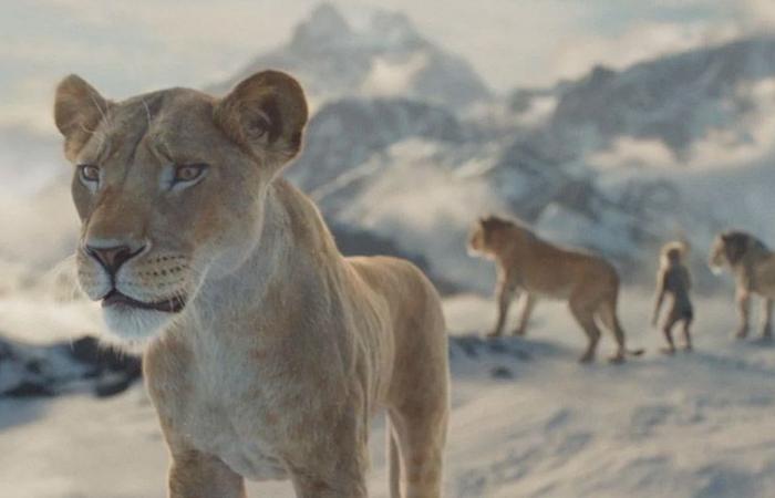 Is Mufasa as good as 2019’s The Lion King? What do the spectators think? – Cinema News