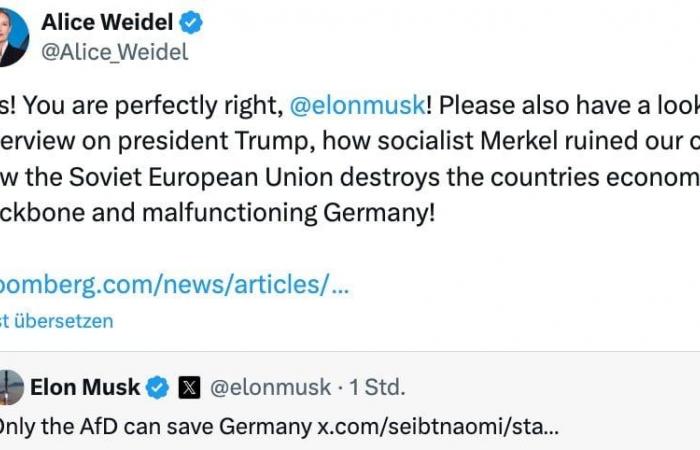 After a death drive at the Magdeburg Christmas market: Musk attacks Scholz | policy