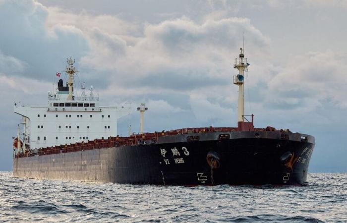 Four EU countries on board Chinese cargo ship Yi Peng 3 after underwater cables break