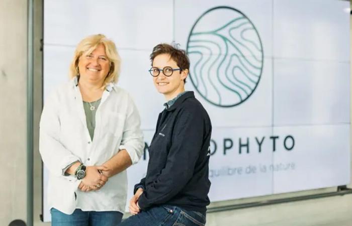 Mycophyto in scale-up mode refines its Series A fundraising