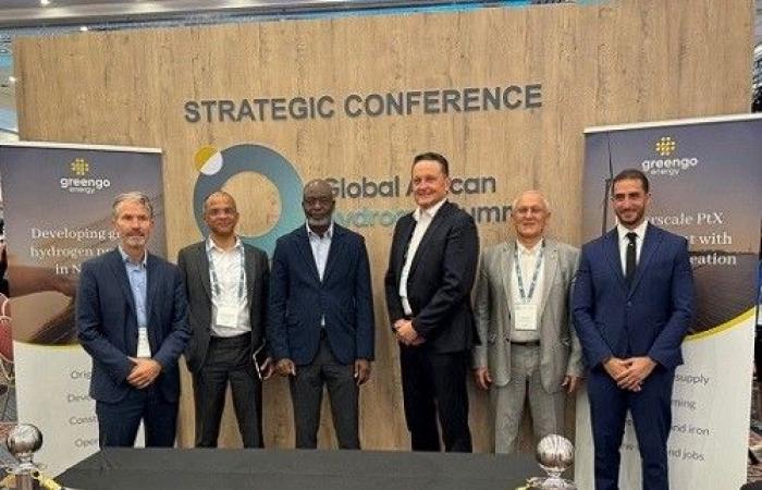 GreenGo Energy and Goldwind join forces to promote renewable energy in Africa