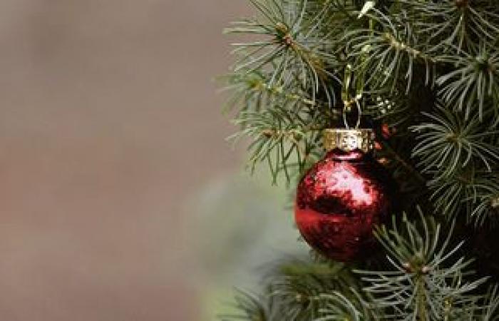 Christmas tree recycling from Thursday December 26, 2024 to Tuesday January 7, 2025