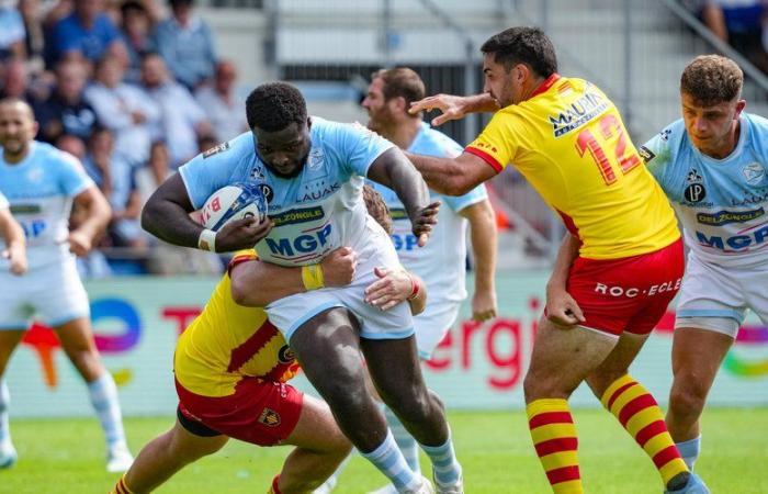 Top 14 – Andy Bordelai, one-day guide for Bayonne in Vannes