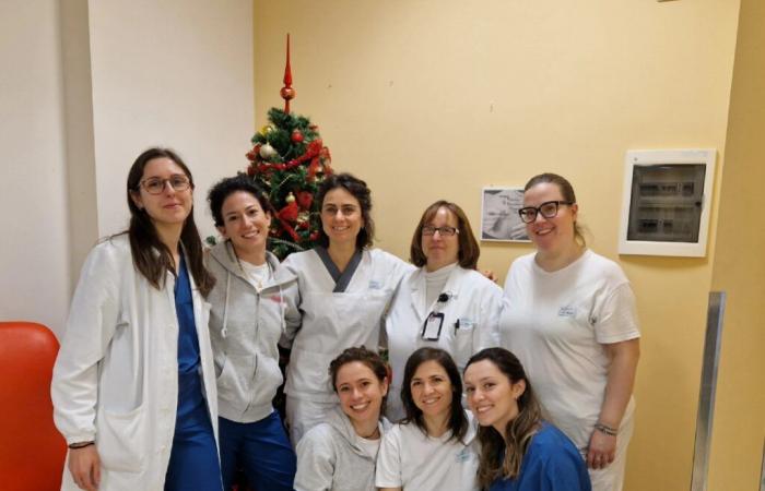 34 babies in 4 days. VIDEO Reggionline -Telereggio – Latest news Reggio Emilia |