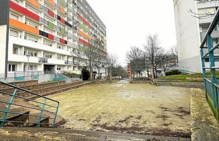 “Mom, you struggle sometimes”: in this district of Quimper, one in two people lives below the poverty line