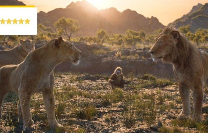 Is Mufasa as good as 2019’s The Lion King? What do the spectators think? – Cinema News