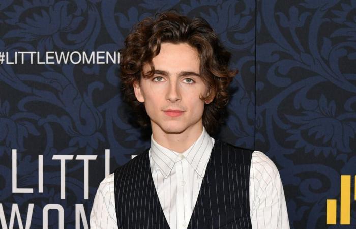 Timothée Chalamet shines as Bob Dylan in ‘A Complete Unknown’