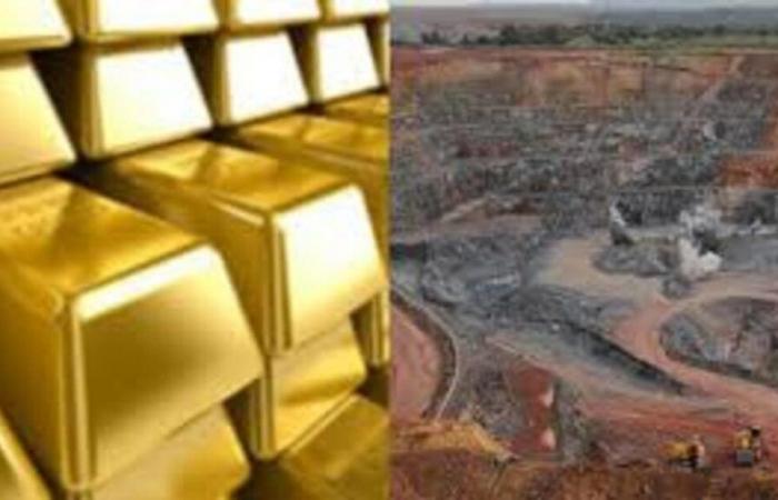 Senegal: evaluation of state shares in the mining sector | APAnews