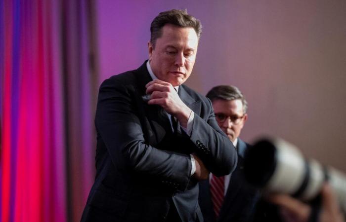 In Germany, Elon Musk's strong support for the far right causes excitement