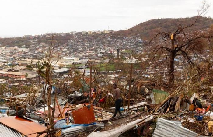 In Mayotte devastated by Cyclone Chido, “it looks like the images of the Hiroshima bomb, right? »