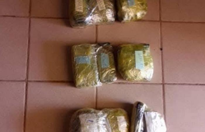 Three individuals arrested with 28.6 kg of gold at the border with Togo – Sahel Intelligence