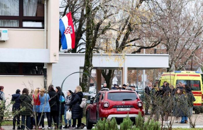 Child killed, others injured in knife attack in Zagreb – rts.ch