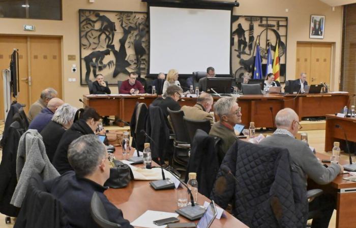 The City of Draguignan gets the ear of the Senate on finances