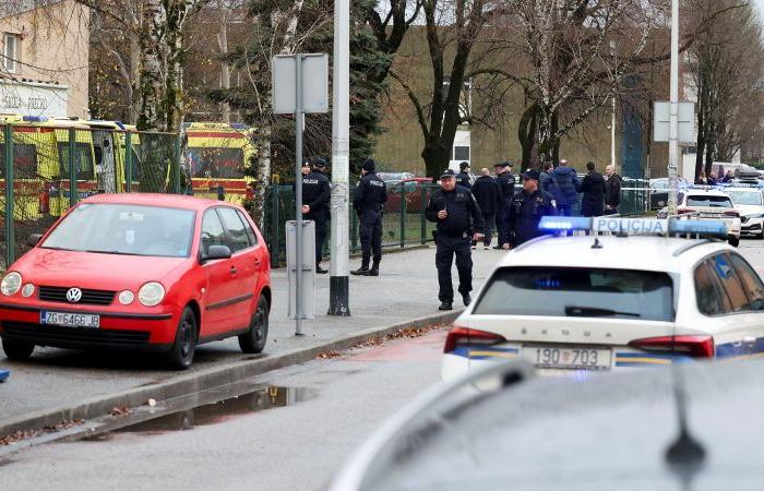 Croatia stabbing: Girl, 7, killed and several injured in attack at elementary school