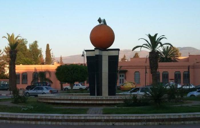 Structuring projects will do good for citrus growers and other farmers – AgriMaroc.ma