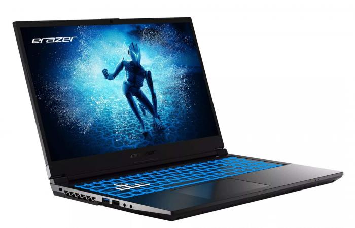 Medion Erazer Deputy P60i MD62706, 15″ 144Hz gaming laptop PC under RTX 4060 and Intel Core i5-H with the connectors provided – LaptopSpirit