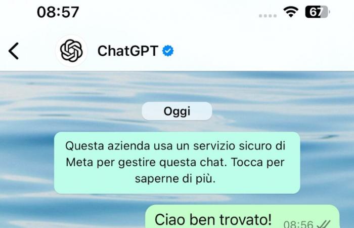 ChatGPT arrives on WhatsApp: from today you can message with AI