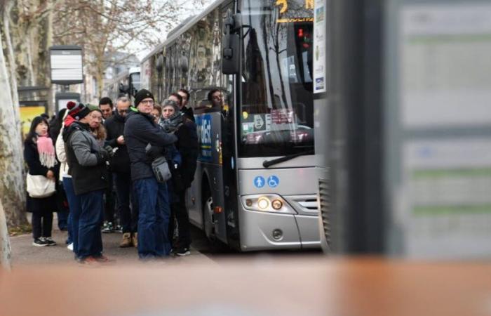 “Buses, a mockery of tourists”