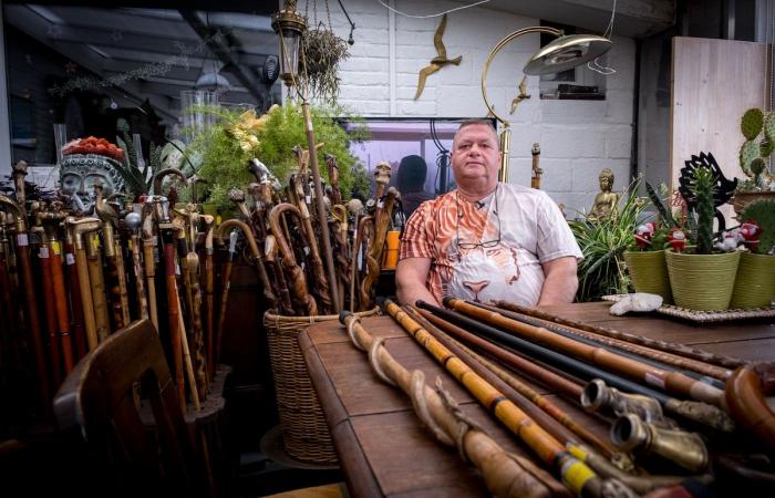 This Hennuyer sells his collection of 1000 old canes: “It’s starting to take up a lot of space” (video)