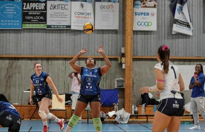 Volleyball – Women’s Elite. VBP Niort hopes to finish the year well ahead of Nantes. Sport