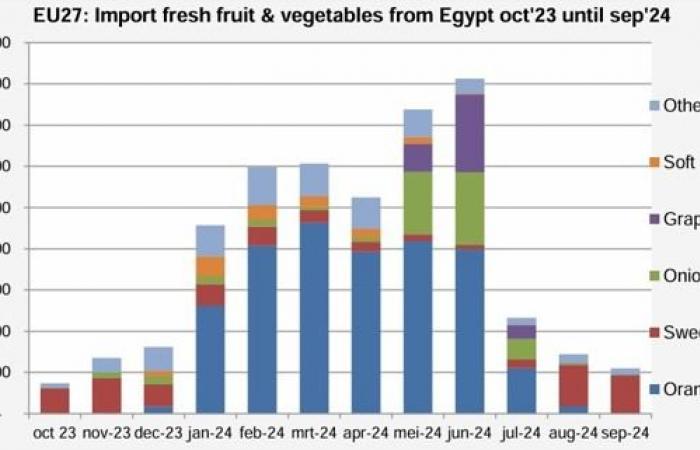 Egyptian exports of fresh fruits and vegetables are on the rise again