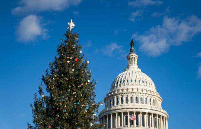 The United States is getting closer to budgetary paralysis after the failure of a new text – 12/20/2024 at 2:46 p.m.