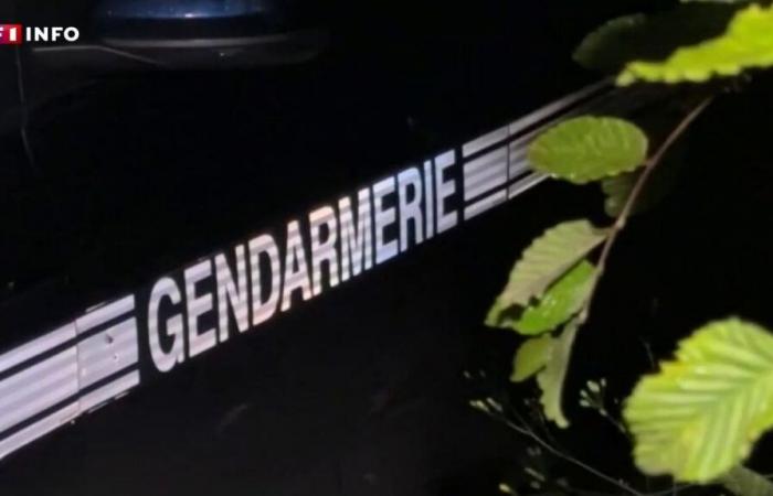 Clermont-Ferrand: dismantling of vast drug trafficking based on pregabalin, the “poor man’s drug”