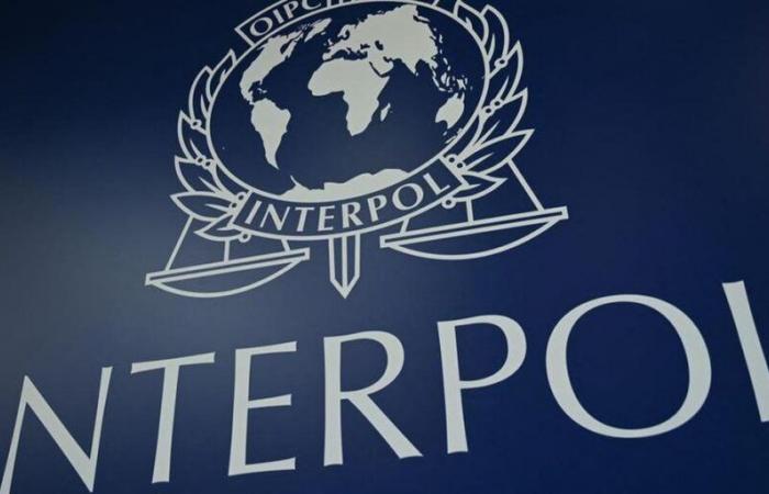 Murder, rape of a minor, drug trafficking… 58 “dangerous” fugitives arrested during an Interpol operation