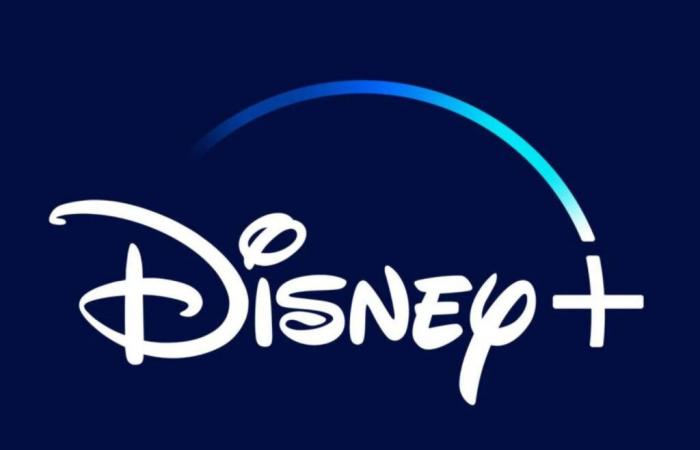 Disney+: new films and new series for January