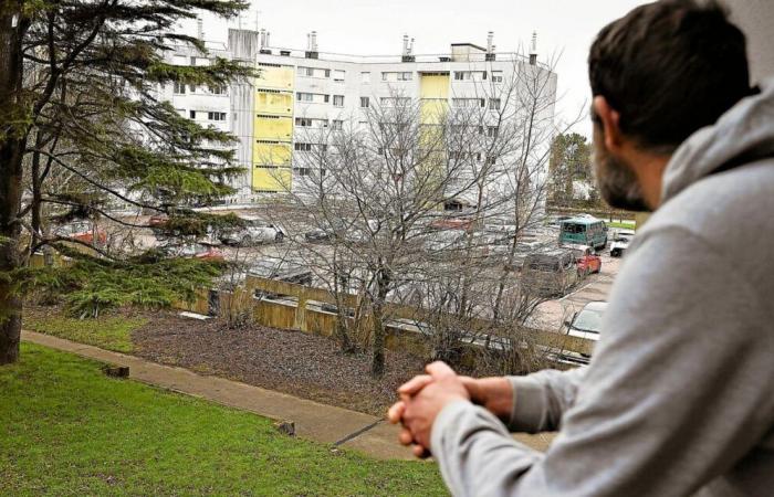 “Mom, you struggle sometimes”: in this district of Quimper, one in two people lives below the poverty line