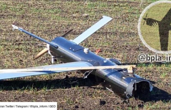 In Ukraine, the successes of the Phoenix Ghost, this secret American drone which frightens Russia