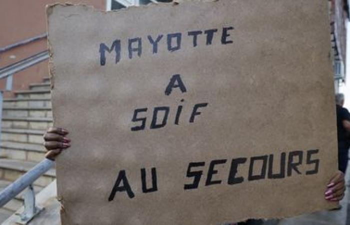 “We are approaching 15 million euros collected” for Mayotte, announces the Fondation de France