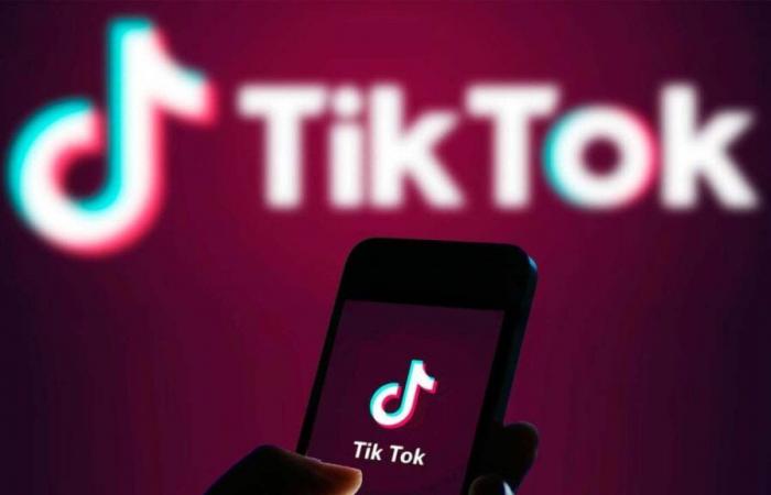 Race against time. The future of TikTok in the US depends on the Supreme Court